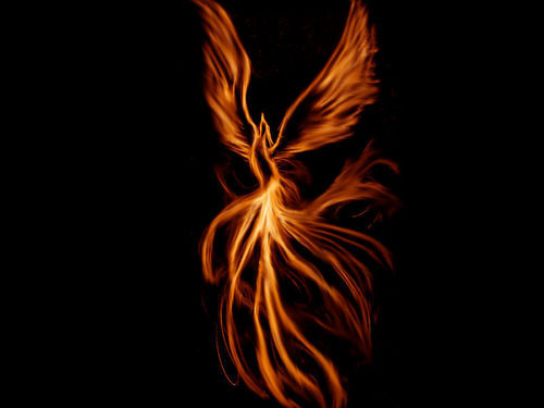 pie_lam's profile picture. 