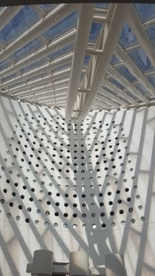 denctypropencty's profile picture. 