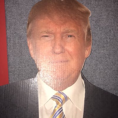tampabaytrump's profile picture. 