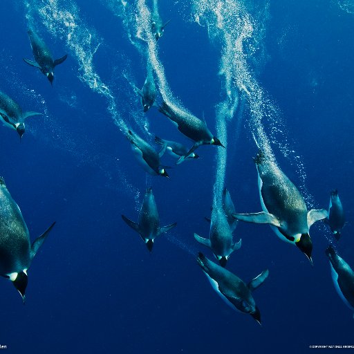 goodfolksnUSA's profile picture. *Wait on the LORD; Be of good courage, And He shall strengthen your heart; Wait, I say, on the LORD! —Psalm 27:14 NKJV