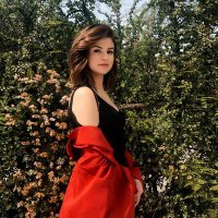 sg (@selenagoomee) 's Twitter Profile