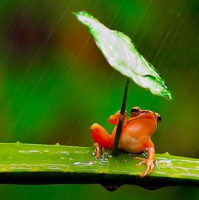 COLNANo7's profile picture. 眠い