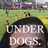 underdogs.xyz