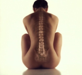 fachiropractic's profile picture. I am a chiropractor.