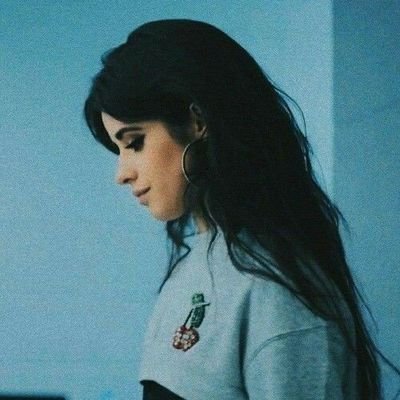 ⇨ ☆ Camilizer • Harmonizer • Mendes Army • Directioner ☆ Fan Account
