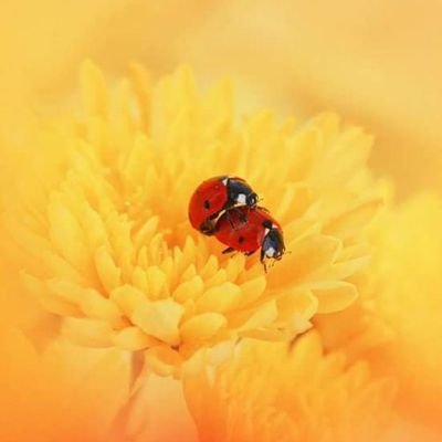 Davide31009690's profile picture. Vietato ai minori di 18 anni
Amo le donne in carne...