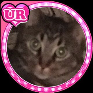 SlyCooper26's profile picture. I love nature, and them big anime tiddies.nsfw likes xD