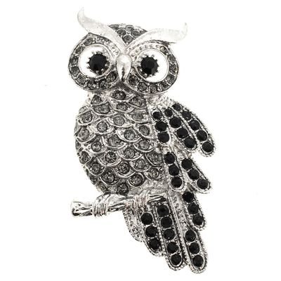 glassowl_ Profile Picture