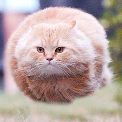 Observerr5's profile picture. 