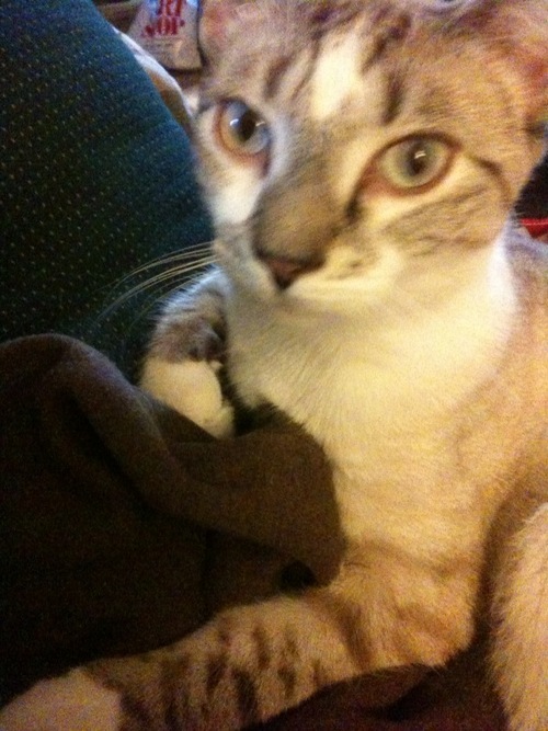 ImFredAstaire's profile picture. I love to dance and sing...at 5:30 in the morning to my mother's dismay.