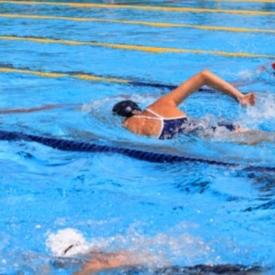 東海大学 水泳サークル Team 水夢 Club Tokaiswim Twitter 東海大学 水泳サークル Team 水夢 Club Tokaiswim Twitter