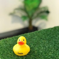 Jack TT Duck(@JackTTDuck) 's Twitter Profile Photo