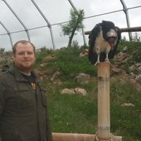 Richard🦜 (@rick_bark) 's Twitter Profile