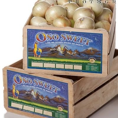 Ososweetonions's profile picture. 