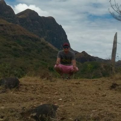 wilmermora0292's profile picture. 