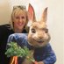 alison (@alisonburkex) Twitter profile photo alison (@alisonburkex) Twitter profile photo