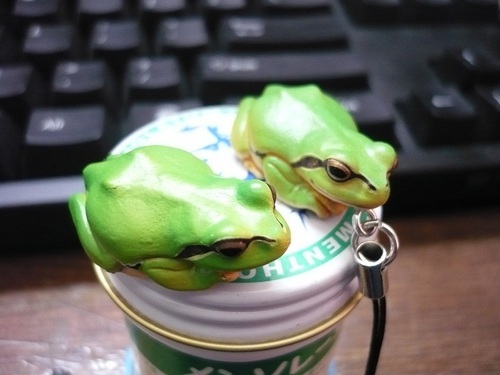 lin2280's profile picture. ネコとバイクとプリンが大好き
50を越えてからギターはじめた。