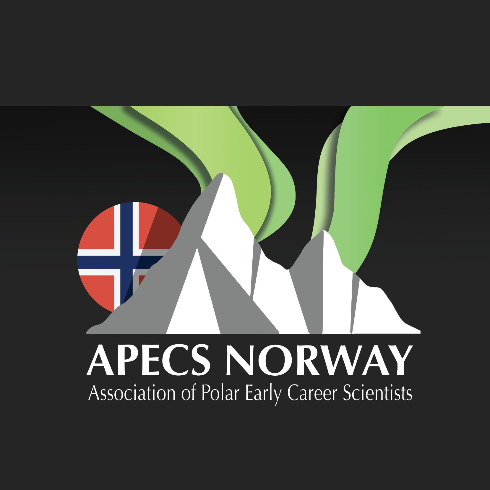 We are the Norwegian National Committee of @polar_research. Our aim is to create a vibrant polar Early Career Researcher (ECR) community in Norway.