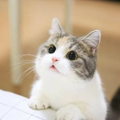 [직찍은 마음에] [뮤지컬]