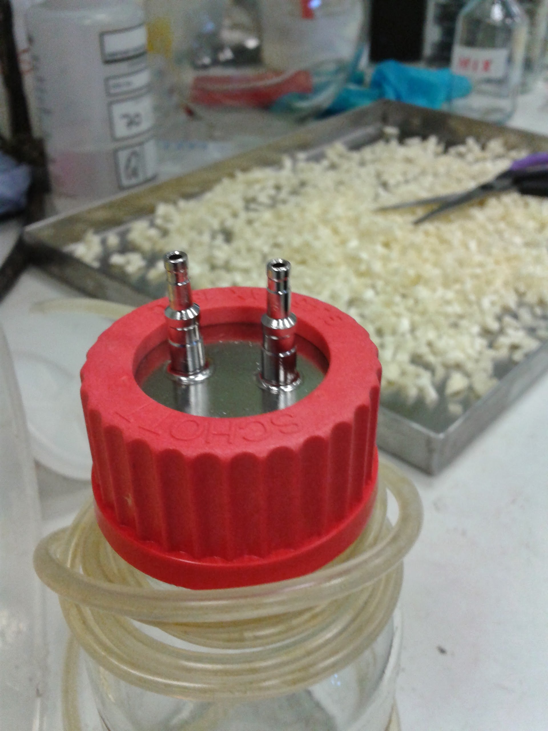 Irish Biotech Company working in the #bioeconomy and #circulareconomy space