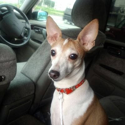 388bbd4dfd2641d's profile picture. 一日中ゴロゴロしたい　fgoにはまってます　　サブ垢@da2033