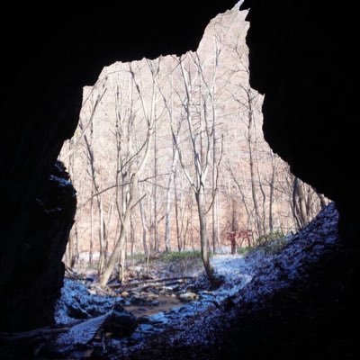 明治大学 地底研究部 Meijichitei Twitter 明治大学 地底研究部 Meijichitei Twitter