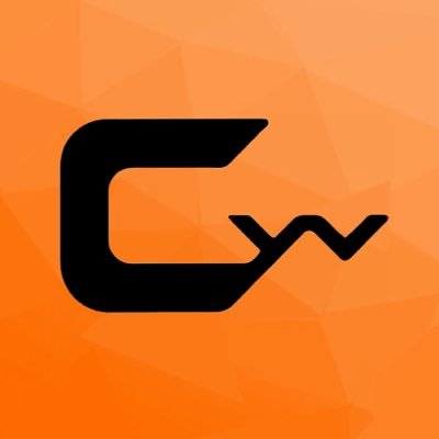 codeweb_nl's profile picture. We are the future