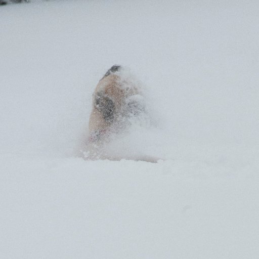 nathlarocque's profile picture. Vegan artist who moved by the sea
💐photography
💐art journaling/painting
💐soul searching