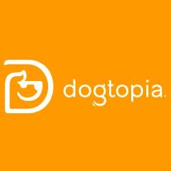 Dogtopia Edmonton Downtown is the premier destination for dog daycare, boarding, training and spa services!