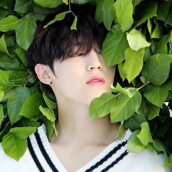 SEVENTEEN S.Coups on Twitter: "#PENTAGON #10TAGON #OT10 Will CUBE tell