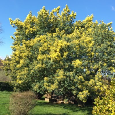 besnardchris's profile picture. BTS assistante de direction ok