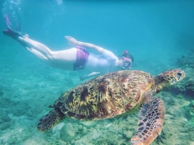 senorafrijole's profile picture. Science teacher at Leuzinger High School