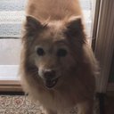 Grace Dodge - @gvdodge17 - Twitter