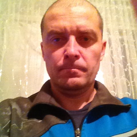 vovaldo1979's profile picture. 