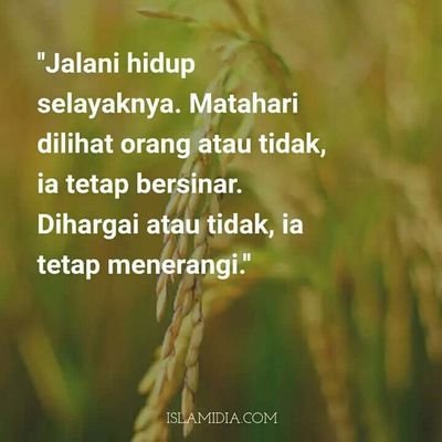 Umar76200911's profile picture. Olahraga