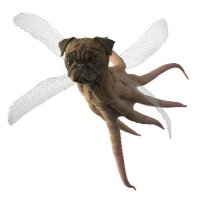 AES+F (@aesplusf) 's Twitter Profile