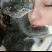 Mariel SoV (@sovmariel) 's Twitter Profile