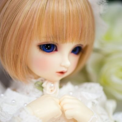 ドール関連の垢です。メインはボークス、その他も少し出てくるかもしれません。フォロバはドールに関連ある方のみです。無言フォロー大丈夫です。私もするかも?