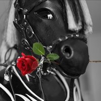 ZeePower (@zeepowerzorbra) 's Twitter Profile