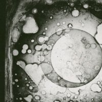Cardiff Poetry Experiment (@cpxprmnt) 's Twitter Profile
