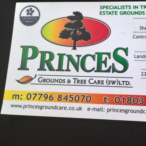orchid_passion's profile picture. works at princes grounds and tree care (sw) ltd, https://t.co/W9UvpA7fc4 promoting princes for my boss