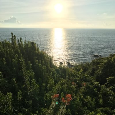 ytwaza's profile picture. 過去はPENTAX6×7を使ってました。 気の向くまま撮影してます。