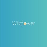 Wildflower Web Design (@wildflowerweb) 's Twitter Profile