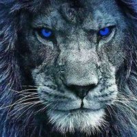 Randy but not really (@hoosiercubman) 's Twitter Profile Photo