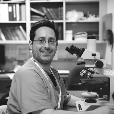 Michael Seidman Profile