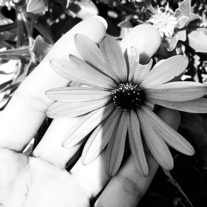 Farida__01's profile picture. وكفى بالله هاديًا 🌿