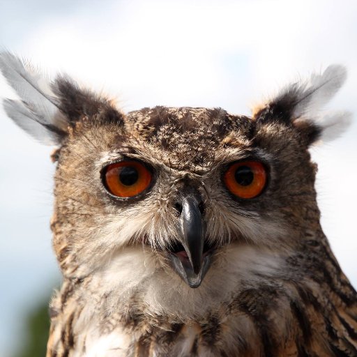 LMW_Hospital's profile picture. 