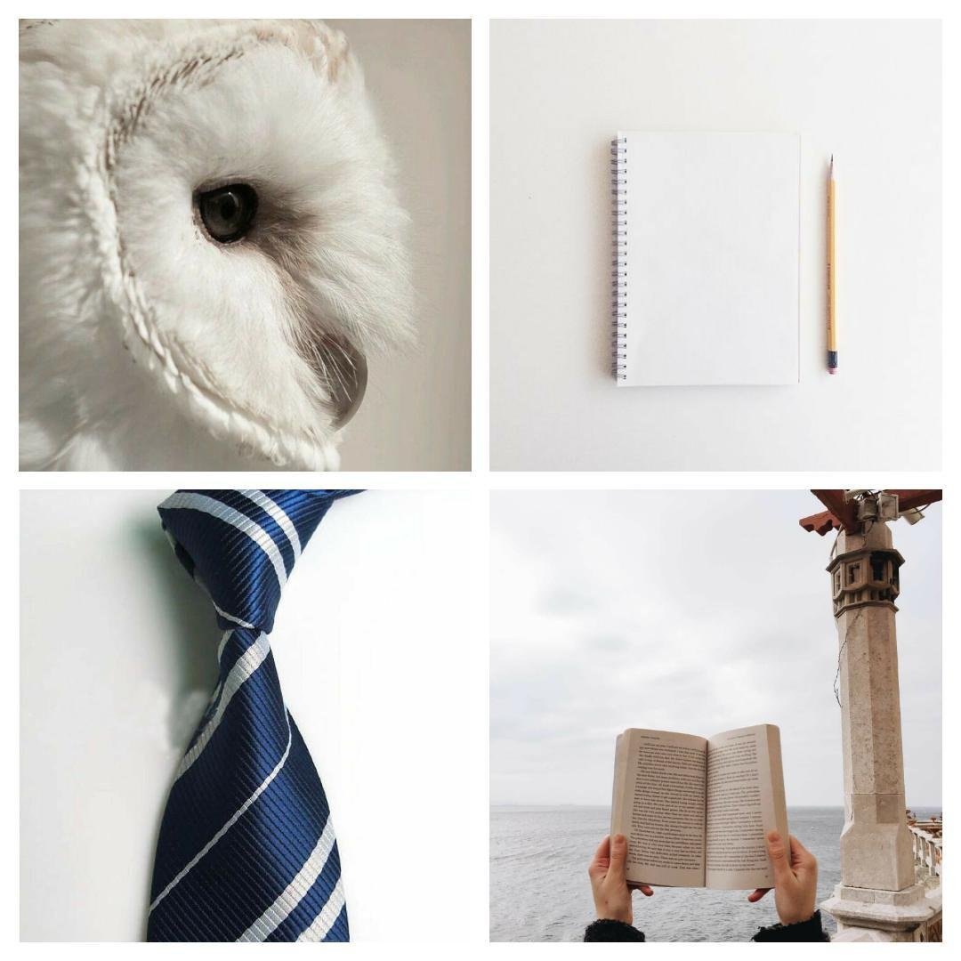 Logan_Sanld's profile picture. Logan Sanders London