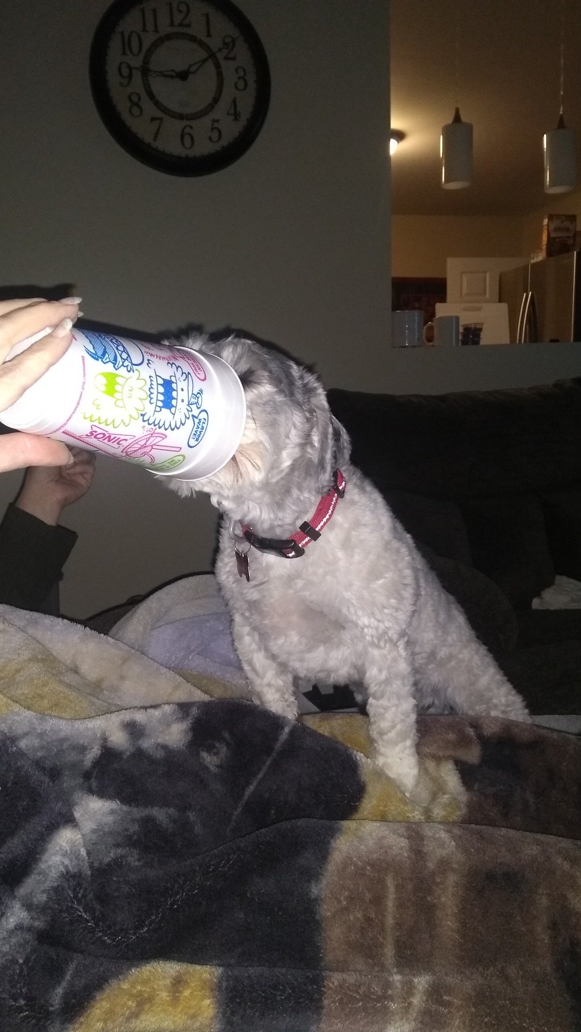 Jamie63379's profile picture. 