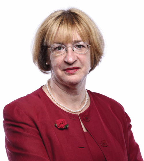 bbisbee's profile picture. Muggle, mother, Mrs. BikingBis, community activist, gardener, wannabe singer, former business editor